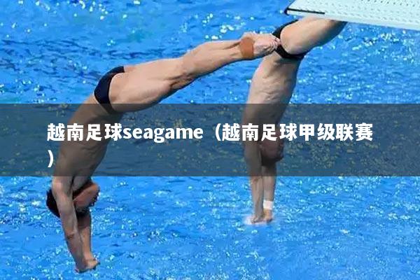 越南足球seagame（越南足球甲级联赛）