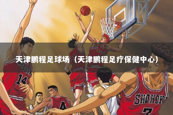 天津鹏程足球场（天津鹏程足疗保健中心）