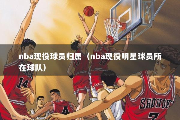nba现役球员归属（nba现役明星球员所在球队）