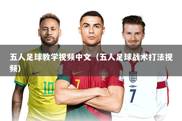 五人足球教学视频中文（五人足球战术打法视频）