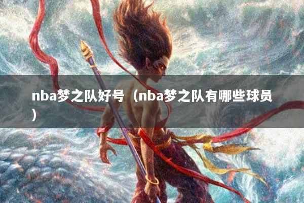nba梦之队好号（nba梦之队有哪些球员）