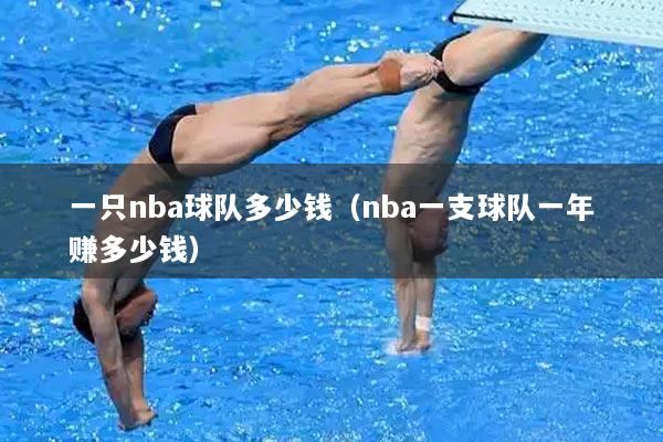一只nba球队多少钱（nba一支球队一年赚多少钱）